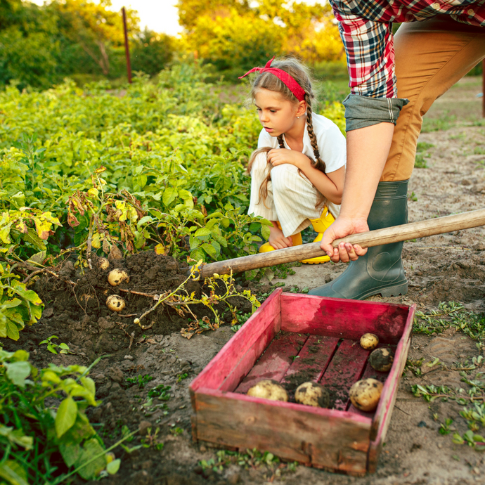 HOW TO support local farmers